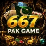 667pakGame