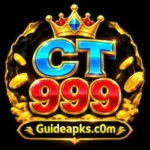 CT999 Game