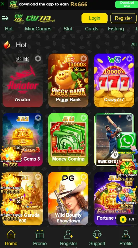 CW773 Game