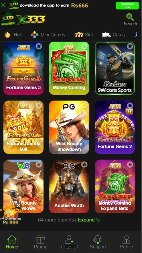 Y333 Game